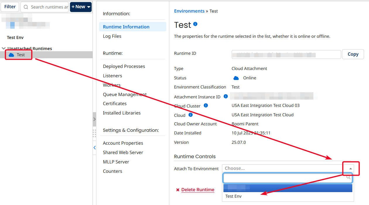 Runtime Controls showing Attach to Environment option